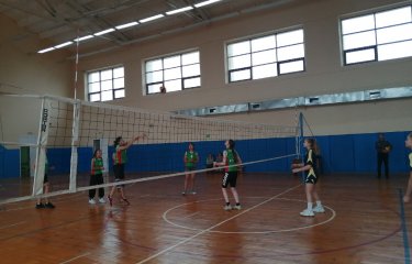 Первенство ДЮСШ по волейболу среди девочек 2008г.р.и младше